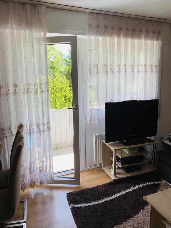 Drei Zimmer Apartment Am Rhein Бад-Зеккінген Екстер'єр фото